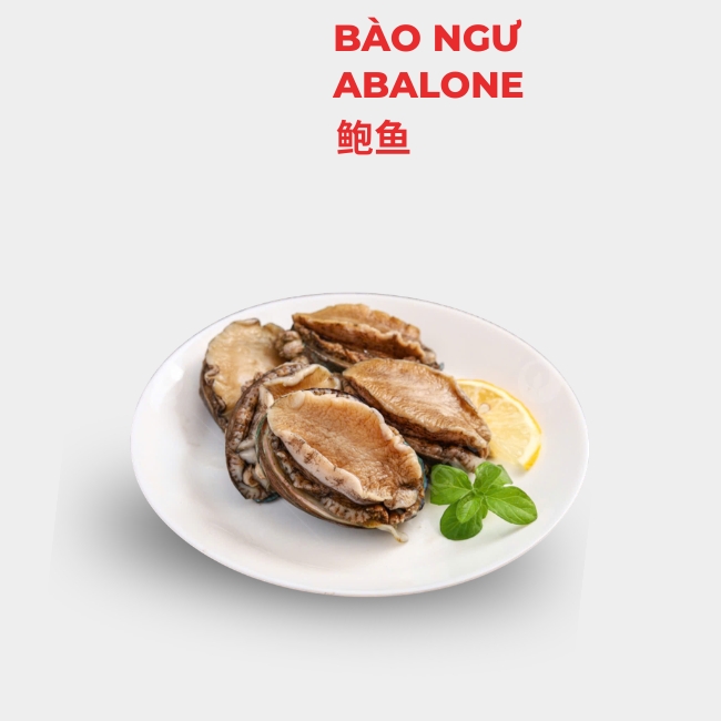 BÀO NGƯ
