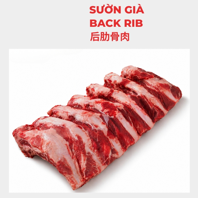 BACK RIB 