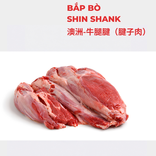SHIN SHANK 