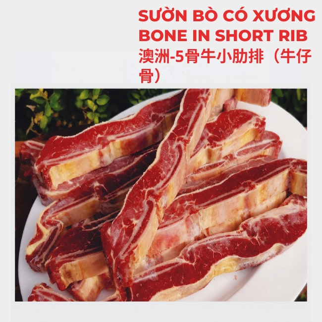BONE IN SHORT RIB