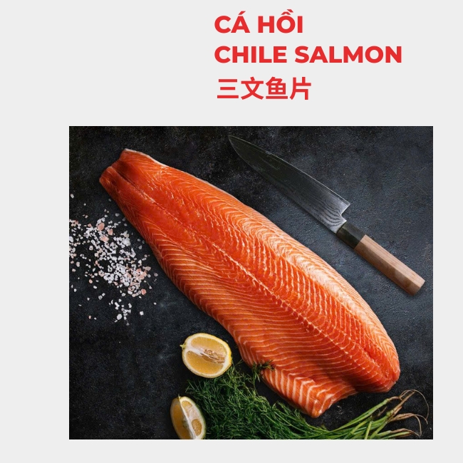 CÁ HỒI 