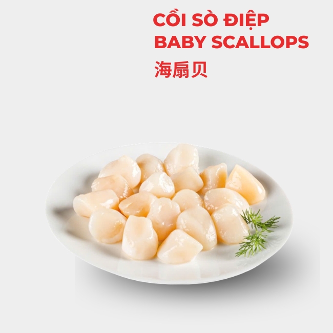 BABY SCALLOPS