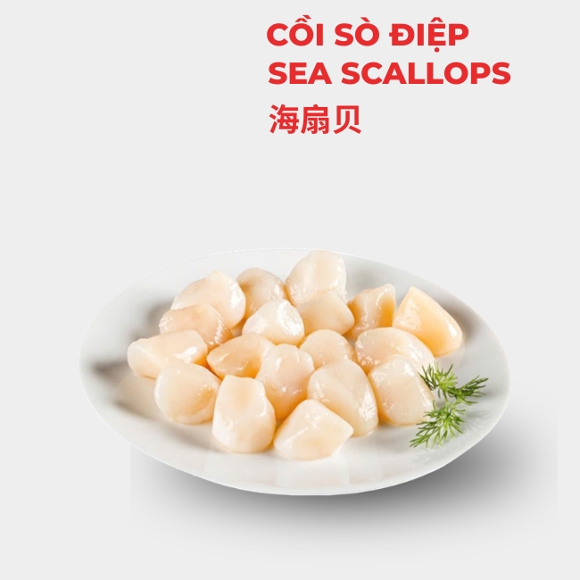 CỒI SÒ ĐIỆP 