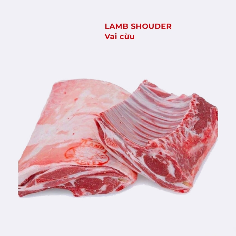 LAMB SHOUDER - Vai cừu 