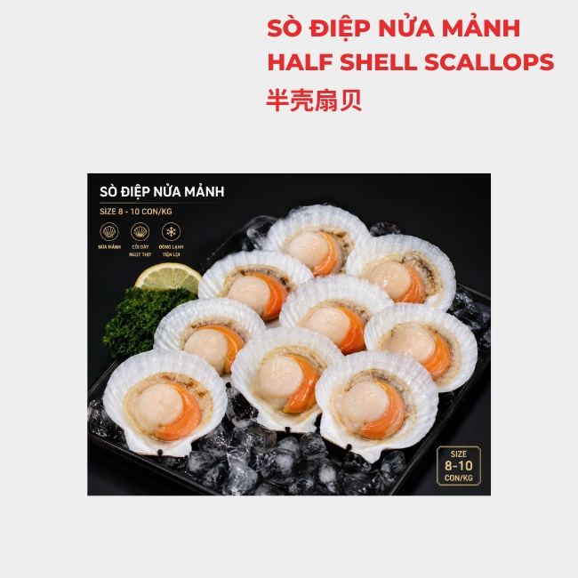 SÒ ĐIỆP NỬA MẢNH